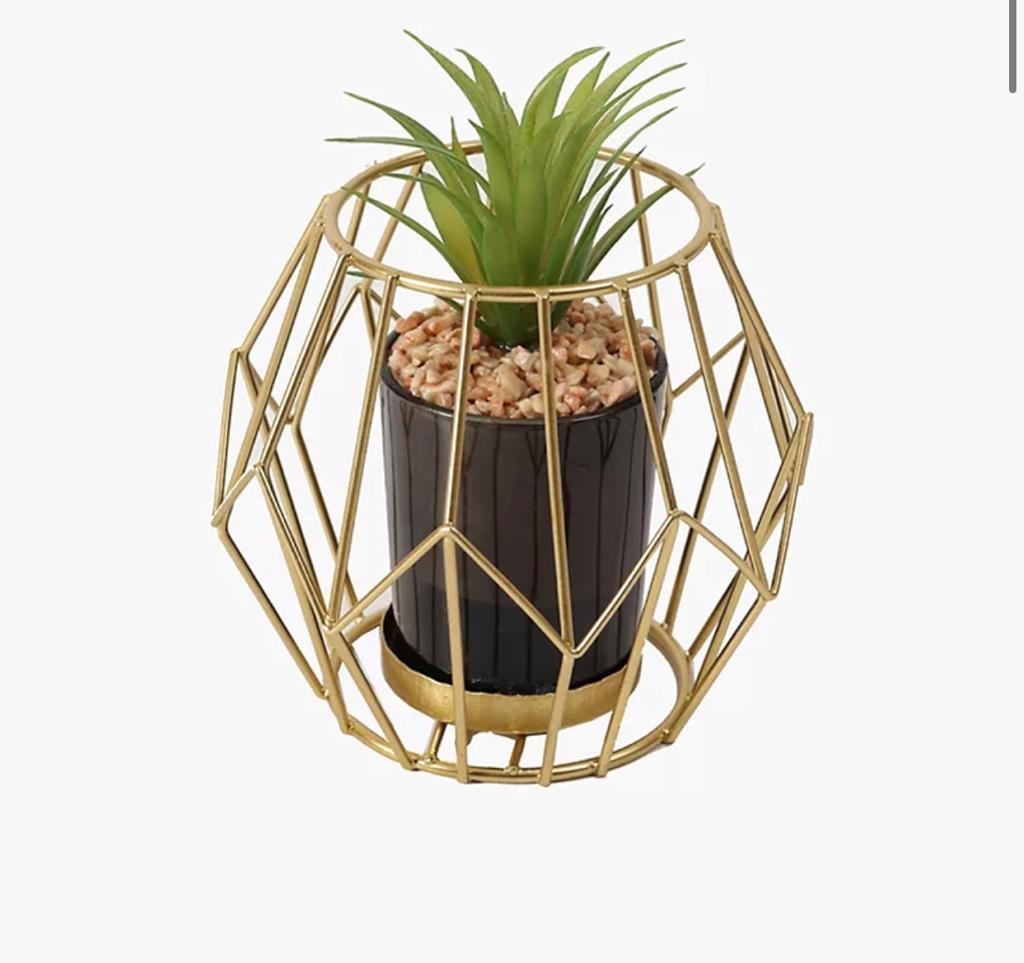ALOE IN PRISM POT