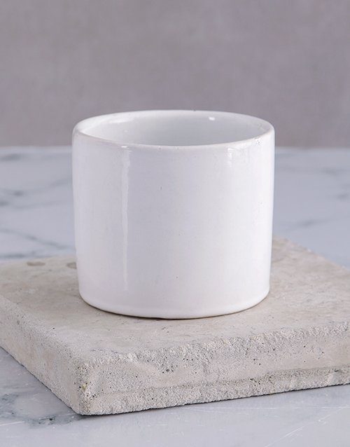 Thank you Spray in White Vase